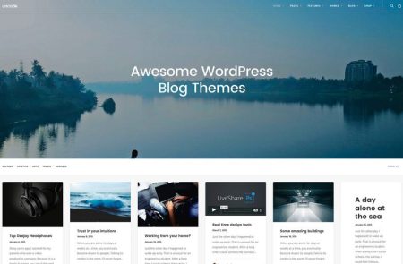 Best 5 Theme for Blog Website