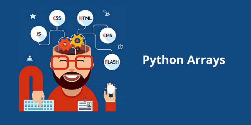 array in python