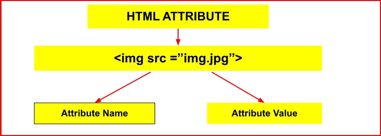 html attributes and html attributes list bangla